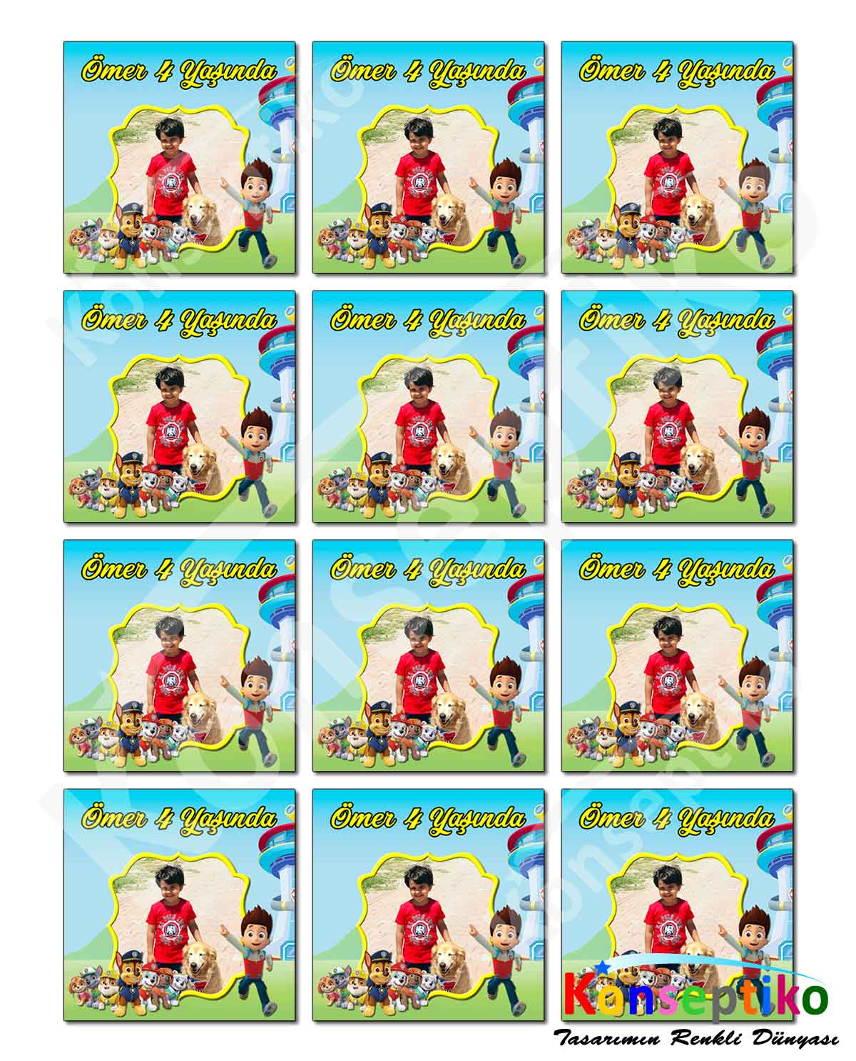 Paw Patrol - Kare Karton 40'lı