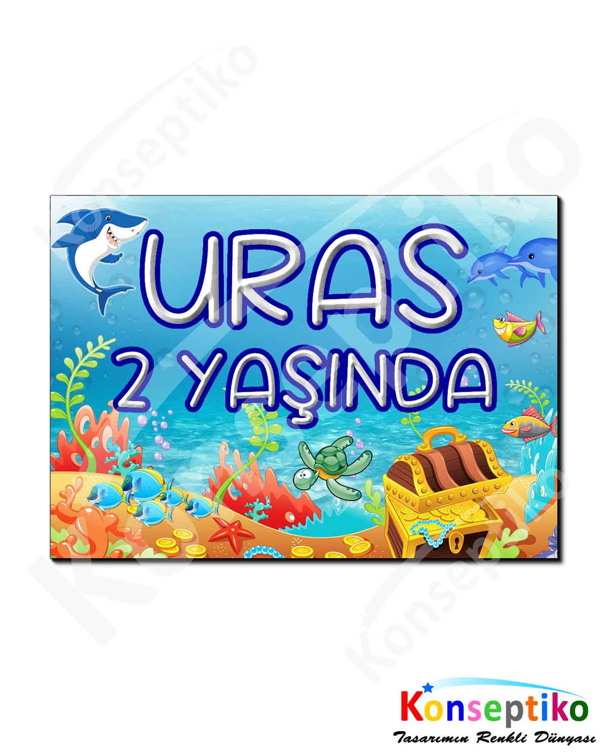Balıklar - İnce Magnet
